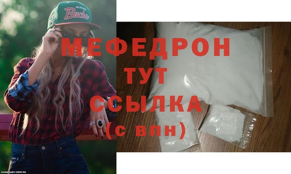 гашик Каменка