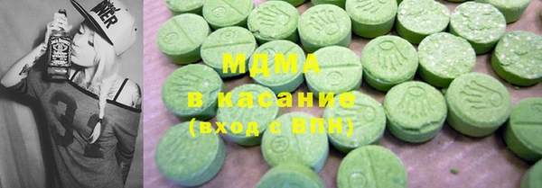 гашик Каменка