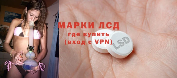 гашик Каменка