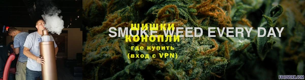 стаф Каменск-Шахтинский