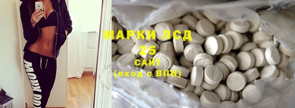 гашик Каменка