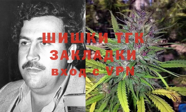 кокс Касимов