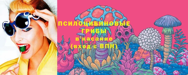 гашик Каменка