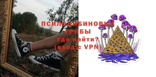 гашик Каменка