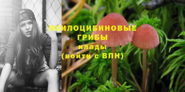 кокс Касимов